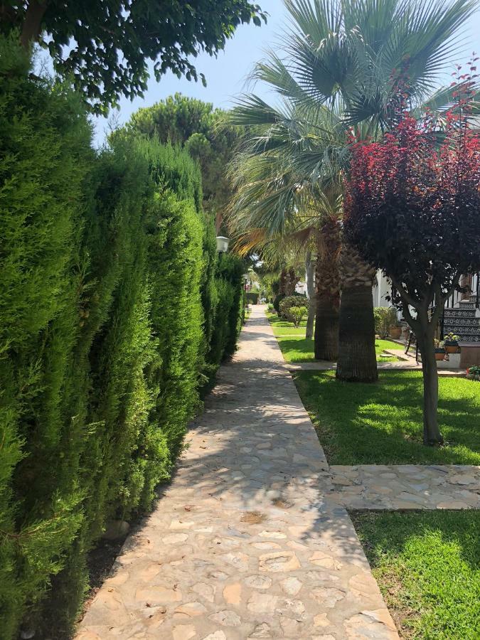 Cabo Roig Holiday House Extérieur photo